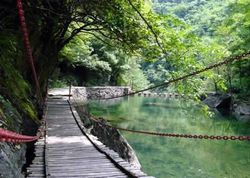 ��ͷ������ɭ�ֹ�԰