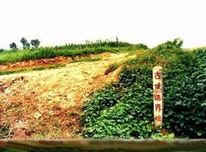 ��ɽ������������ַ