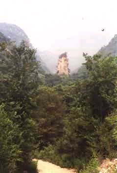 ����˫��ɽɭ�ֹ�԰