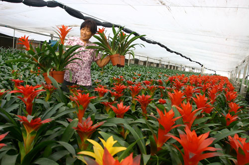 ������Է������̬�۹�԰