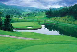 ���ݾ������߶������