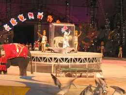 ��خ��¡ҹ�䶯������