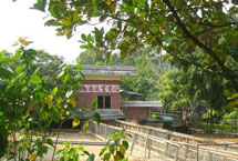 ��ɽ��������ũׯ