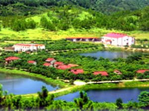 ��ƽ�����̬��԰