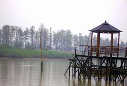 ������ҷ���԰