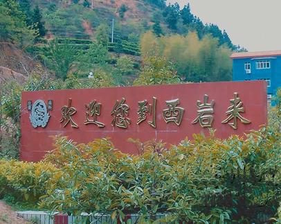 ÷�����Ҳ���