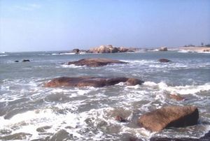 ��β����ʨ����