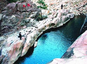 ��������Ͽ