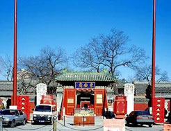 ��ݸ������