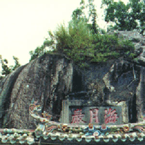 ��ݸ������