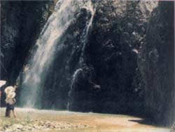 �Ƹ���͢�ǽ�������