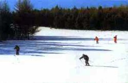 �е������ӻ�ѩ��