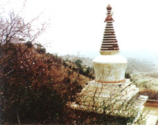 ���ͺ������ﶴ��