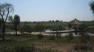 ���ͺ����Ϻ���԰