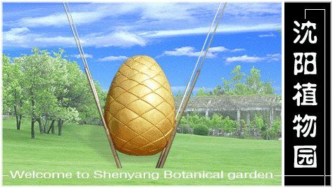 ������ֲ��԰