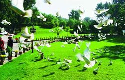 ��Ϫ��Ϫ��԰