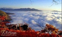 ��Ϫ��ͺ����Ȼ������