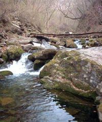 ��Ϫ����