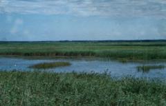 �绯���ݻ�