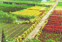 �Ͼ������ִ���ľ��ҵ԰