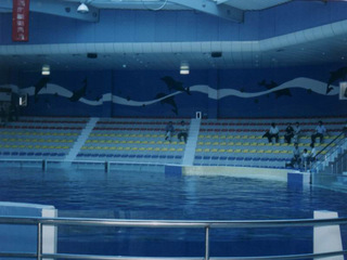 �Ͼ���������