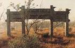 ����κ����Ĺ