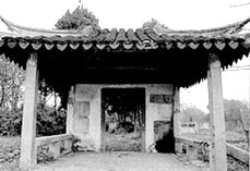 ���������Ļ���Ĺ