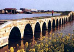 ���ݴ�����