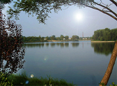 �˻��ڽ���