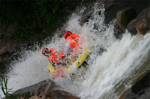 ǧ�������Ͽ��Ư������