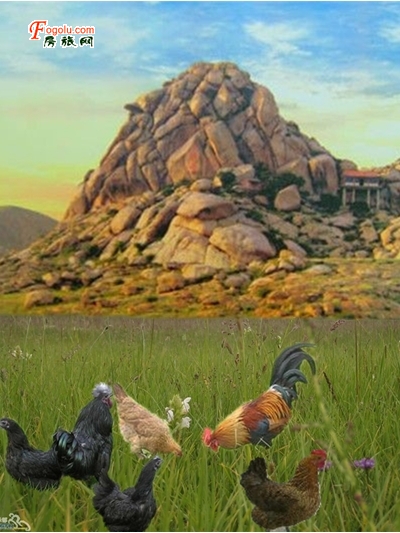 ���۴���ɽ��̬������������