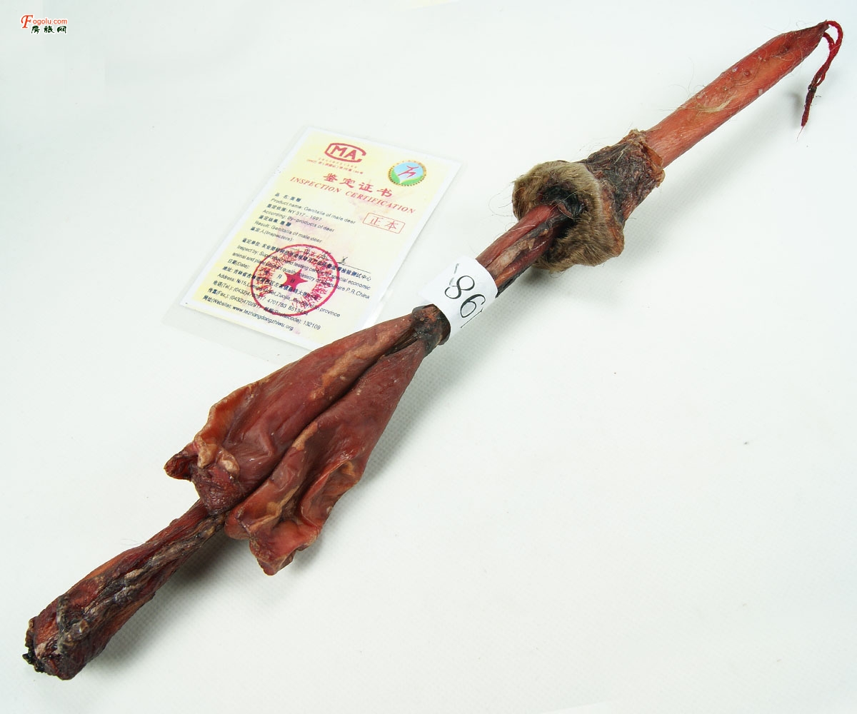 �������� �˲� ¹�� �����