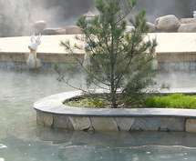 ���������Ȫʥ���Ʊ��