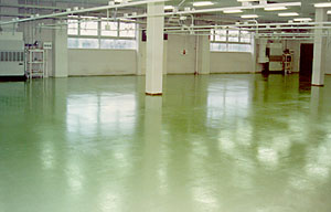  ������ƺ