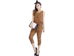  �������γ�������