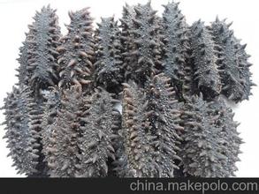  �������պ��λ��ն����Ĳ�13001917195