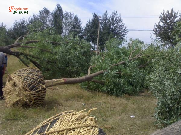  ����ԭ�������10-45���ִ�����