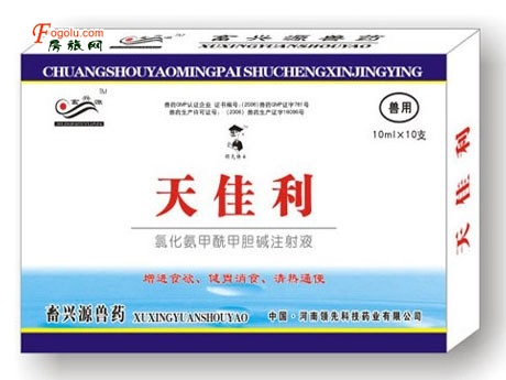  ����� ���ȿƼ�