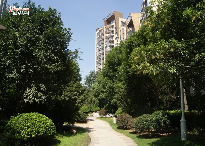  �½ֿ��Ÿ�԰����������˫�˴� ������Ԣ��Ԣ