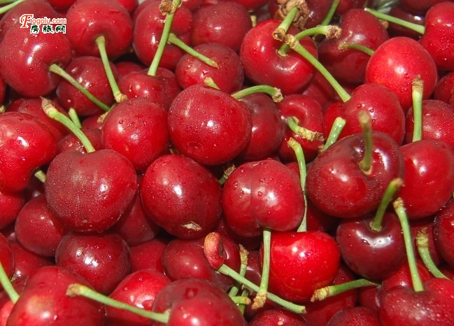 ����ˮ����ӣ�ҡ���ɽ��֦��ժ��������֦�Ź� 