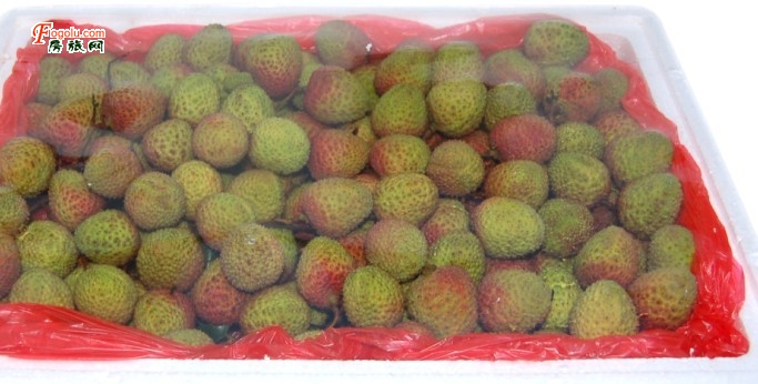 ��ժ��֦��������֦�Ź�����ɽ��֦Ԥ��