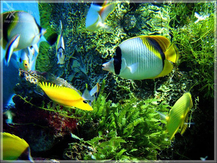 �����ϻ�̲���غ������