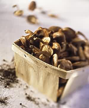  ����ʳ�óа�������ʳ�óа�������ʳ�óа���www.jianfa88.com