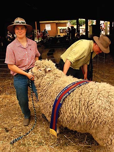 �Ĵ������ز�--��ëƤ