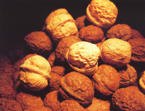 ��娺���--����