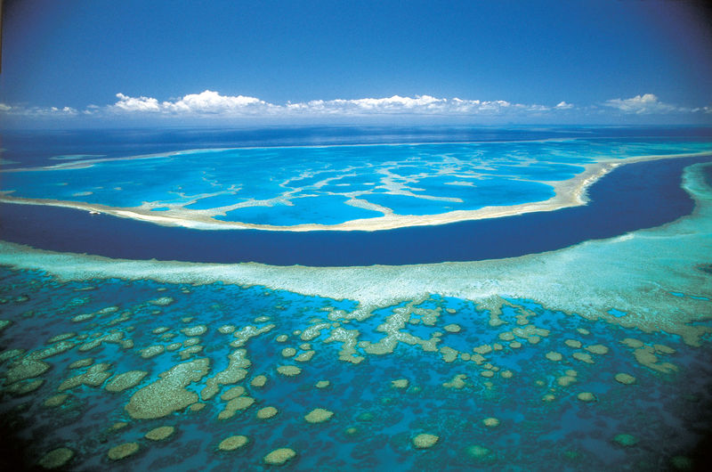 󱤽GREAT BARRIER REEF