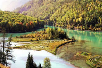 ��ɳ�����ȼٴ�