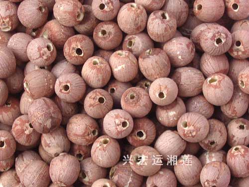 �˺�������