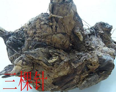 Ұ��ҩ��������