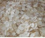 ����ɽ�����